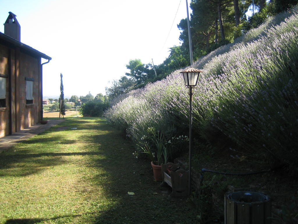 Alloggio Al San Girolamo Longiano Quarto foto
